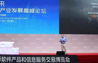 第十三屆中國(guó)南京軟博會(huì)開(kāi)幕，聚焦互聯(lián)網(wǎng)信息服務(wù)新趨勢(shì)