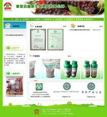 楊康生物攜手秦皇島市創(chuàng)想信息網(wǎng)絡(luò) 智能化生產(chǎn)制造與客戶(hù)展示新篇章